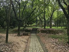 -天河儿童公园
