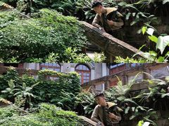-两江国际影视城