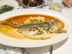 潮汕普宁豆蒸黄花鱼-维园悦谱·海派家常菜(乌鲁木齐南路店)