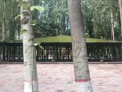 -艾提尕尔清真寺