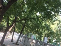-渭滨公园