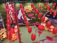 -正佳雨林生态植物园