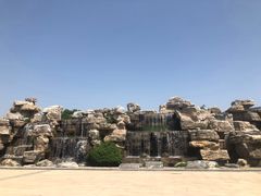 -石家庄市植物园