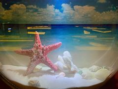 -海韵之星邮轮水会(明发商业广场店)