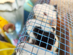 -萌宠亲子动物乐园(槐房万达店)