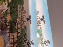 -西双版纳原始森林公园