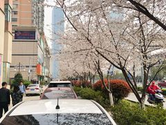 -麦当劳(无锡永乐店)