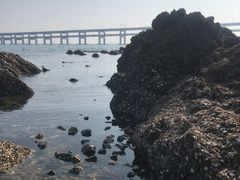 -黑石礁公园