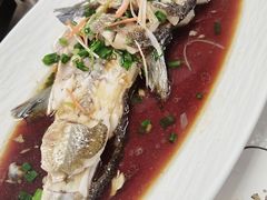 野生白条-宝荣鱼馆·临湖之宴(千岛湖店)