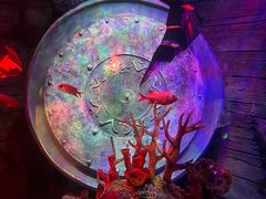 -沈阳海洋探索中心