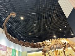 -衢州市博物馆