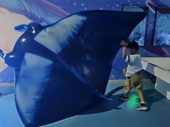 -烟台海昌鲸鲨海洋公园