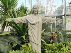 -南宫五洲植物乐园