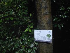 -广州市白云山风景名胜区