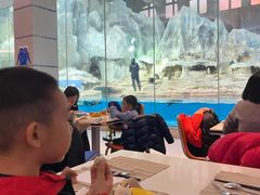 -帝企鹅自助餐厅•儿童岛•真企鹅(长隆企鹅酒店)