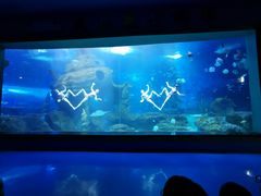 -多彩贵州城极地海洋世界