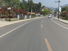 -长兴慧子土特产茶行