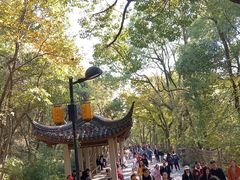 -灵岩山风景区