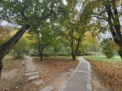 -国家植物园南园