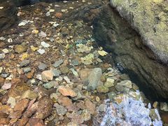 -福建天门山
