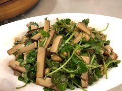 -留芳·文旅古月楼(老街店)