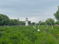 -梁鸿国家湿地公园