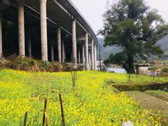 -上坦村