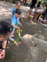 -优沃得自然教育农场·冰雪乐园·生日会·研学