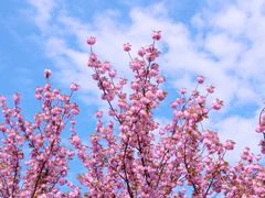 -白塘生态植物园