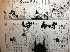 -东京塔海贼王主题公园