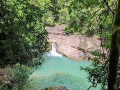 -广州白江湖森林公园