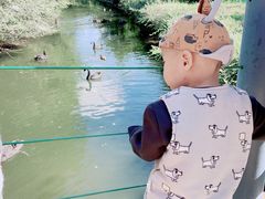 -长白岛森林公园