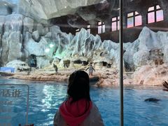 -帝企鹅自助餐厅•儿童岛•真企鹅(长隆企鹅酒店)