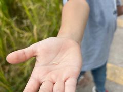 -尚果生态采摘园