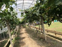 -美家乐农庄·露营·团建(大治路店)