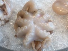 八爪鱼-王家渡火锅店(棕榈泉店)