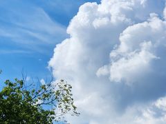 -华中科技大学同济医学院附属同济医院(汉口院区)