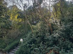 -天目湖御水温泉·度假酒店