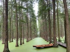 -渌洋湖湿地公园