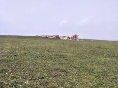 -空中草原
