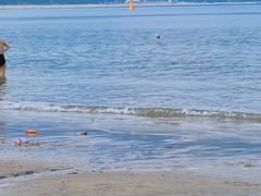 -西涌国际滨海旅游区