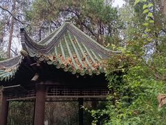 -云龙山