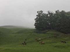 -新疆那拉提国家旅游度假区