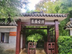 -陶祖圣境风景区