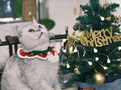 -Oasis绿洲银饰珍珠手作diy(壹方城店)