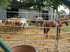 -酷鱼垂钓CLUB(朝阳区博大路店 )