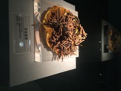 -青藏高原自然博物馆