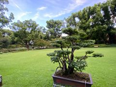-申粤轩酒楼·三十年粤菜经典(丁香花园店)