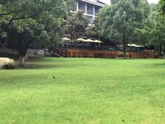 -天目湖御水温泉·度假酒店