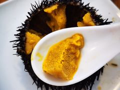 -海胆小馆(东北水饺·春柳店)